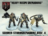 axis heavy grenadiers